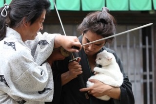 「猫侍」が好きな人語りましょう