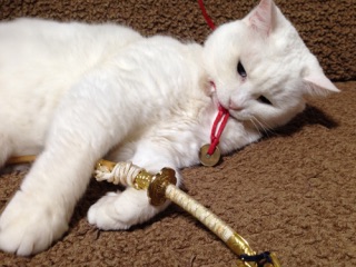 「猫侍」が好きな人語りましょう