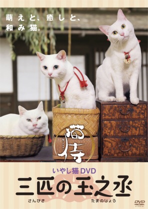 「猫侍」が好きな人語りましょう