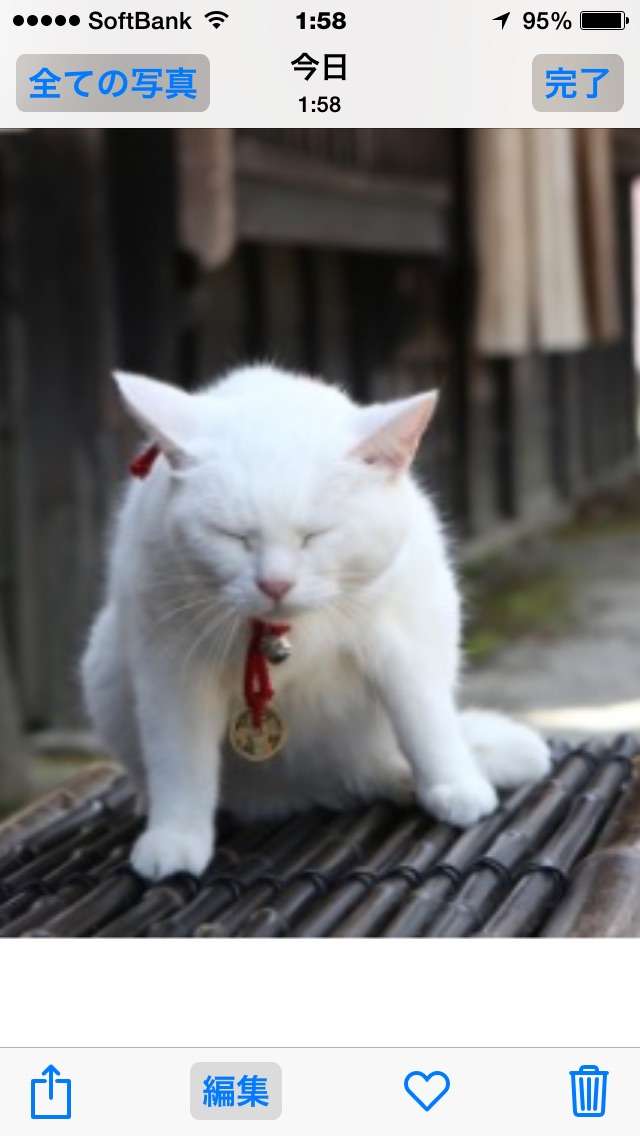 「猫侍」が好きな人語りましょう