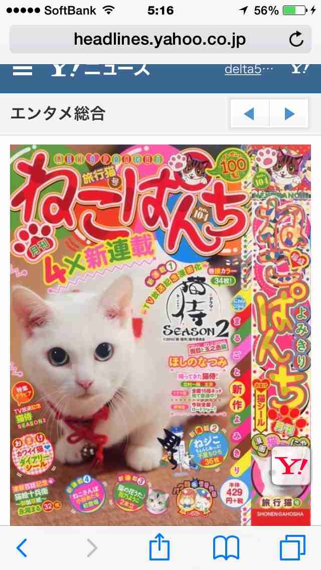 「猫侍」が好きな人語りましょう