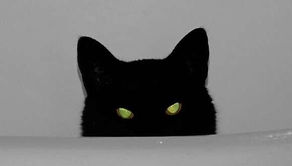 最近嫌な事あった人