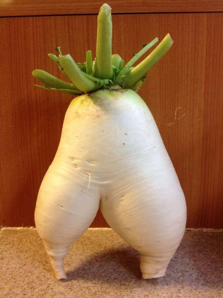 脚太あるある 2