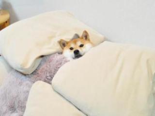 仕事でミスしたとき