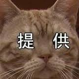 死後の世界、生まれる前の世界、生まれ変わりなど