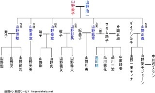 大沢ケイミが暴言連発「ただの主婦のくせに高学歴なんかいらなくない?」