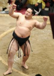 相撲観戦したことある人