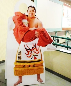 相撲観戦したことある人