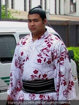 相撲観戦したことある人