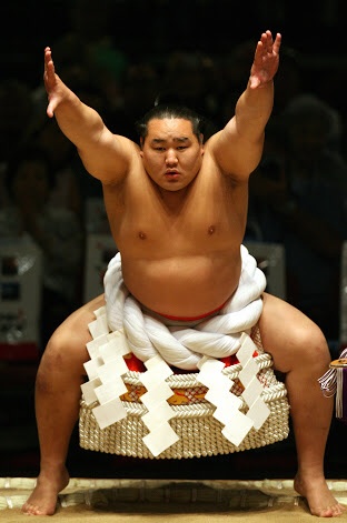 相撲観戦したことある人