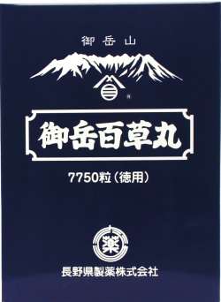 好きな日本企業