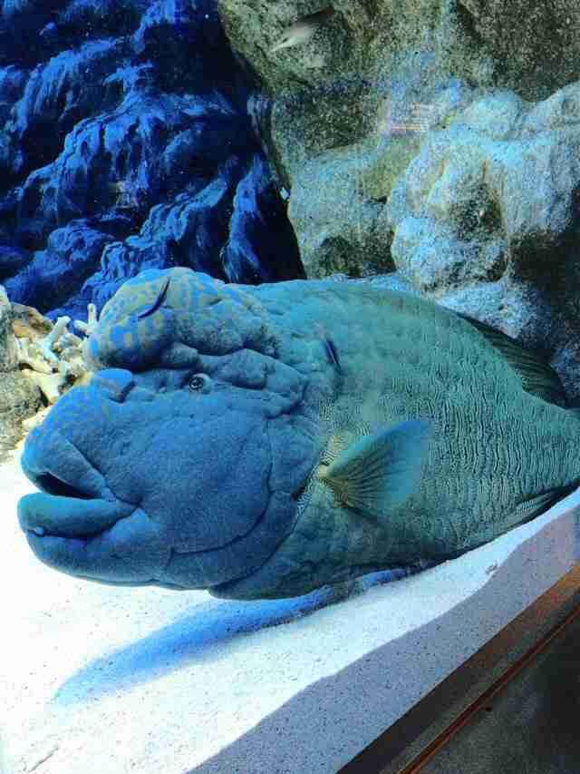【閲覧注意？】ちょっと不気味な画像トピ