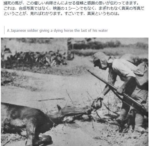 人間っていいなと思うような画像や話