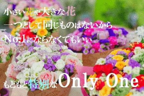 人間っていいなと思うような画像や話