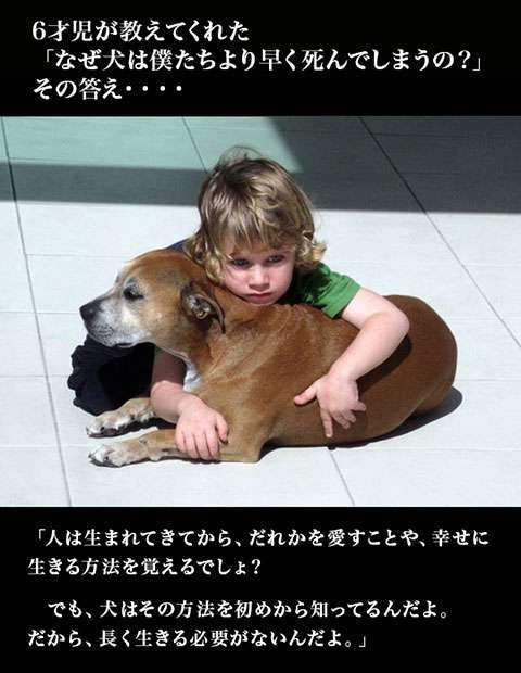 人間っていいなと思うような画像や話