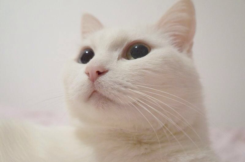 初めての就職先で挫折した人、しそうな人
