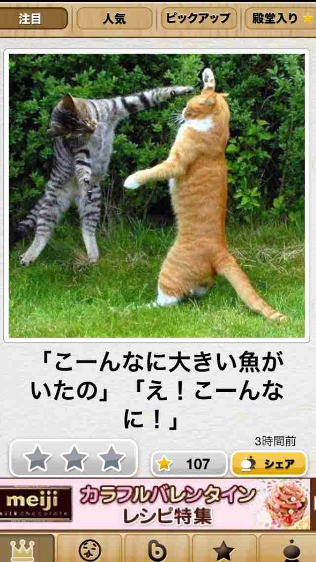 【今年に入ってから】なんとなく保存した画像。