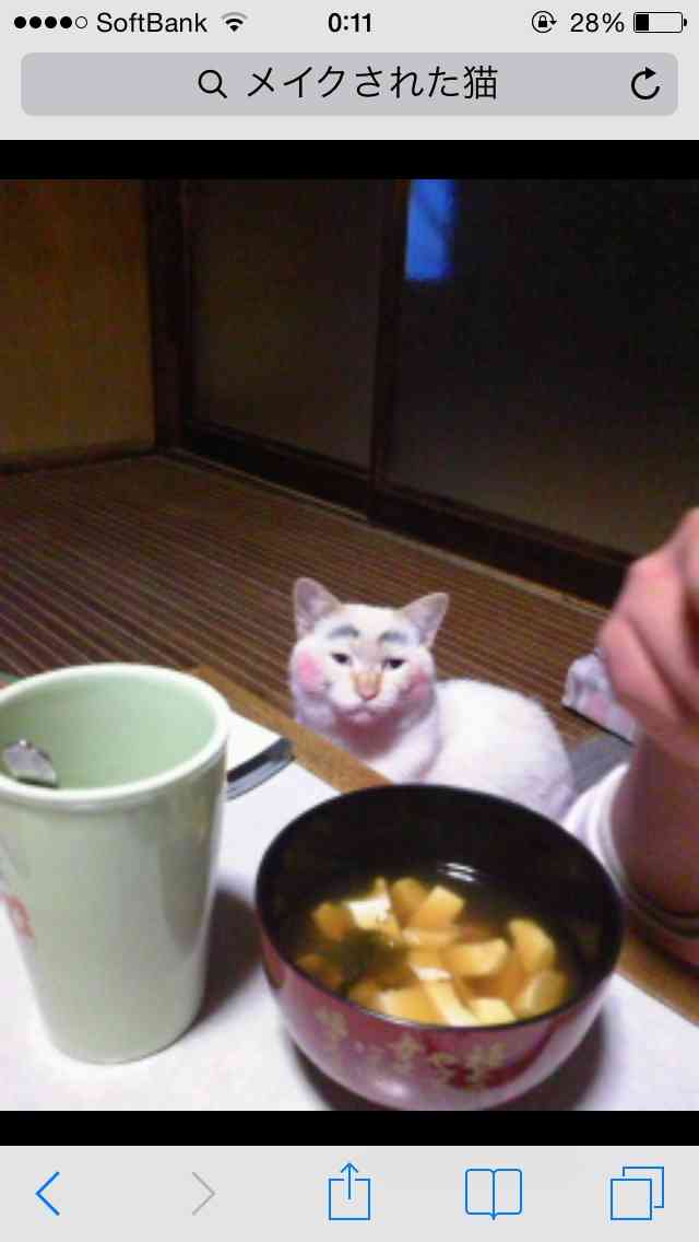 【今年に入ってから】なんとなく保存した画像。