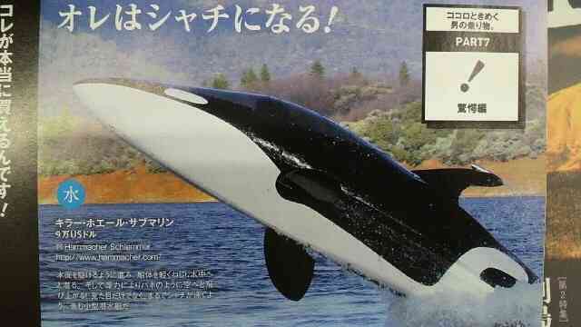 【今年に入ってから】なんとなく保存した画像。