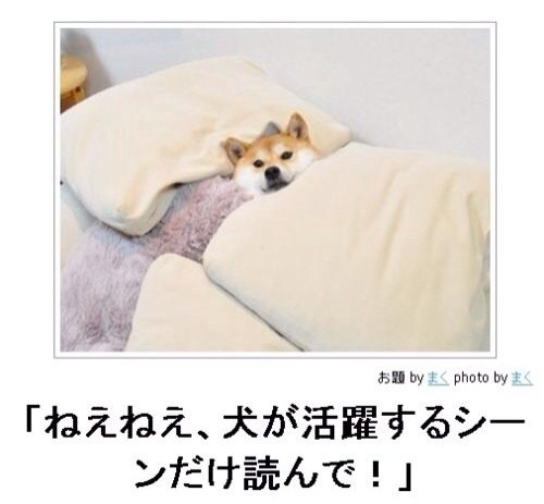 【今年に入ってから】なんとなく保存した画像。
