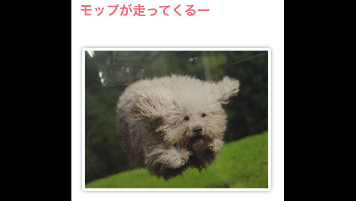 【今年に入ってから】なんとなく保存した画像。