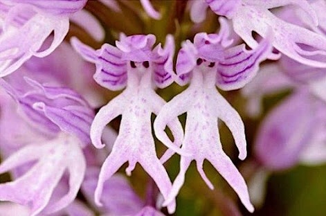 【今年に入ってから】なんとなく保存した画像。