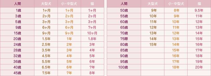 【今年に入ってから】なんとなく保存した画像。