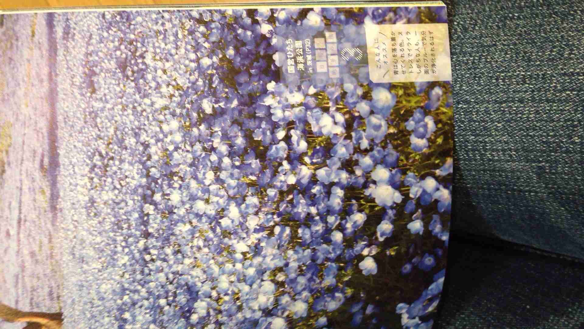 【今年に入ってから】なんとなく保存した画像。