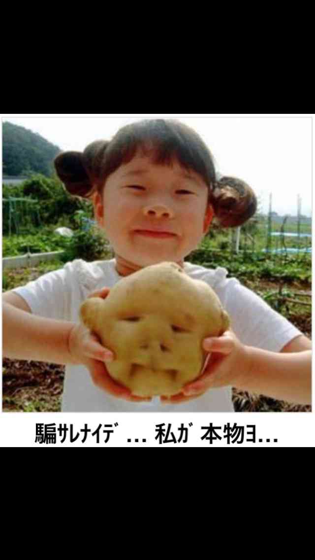 【今年に入ってから】なんとなく保存した画像。