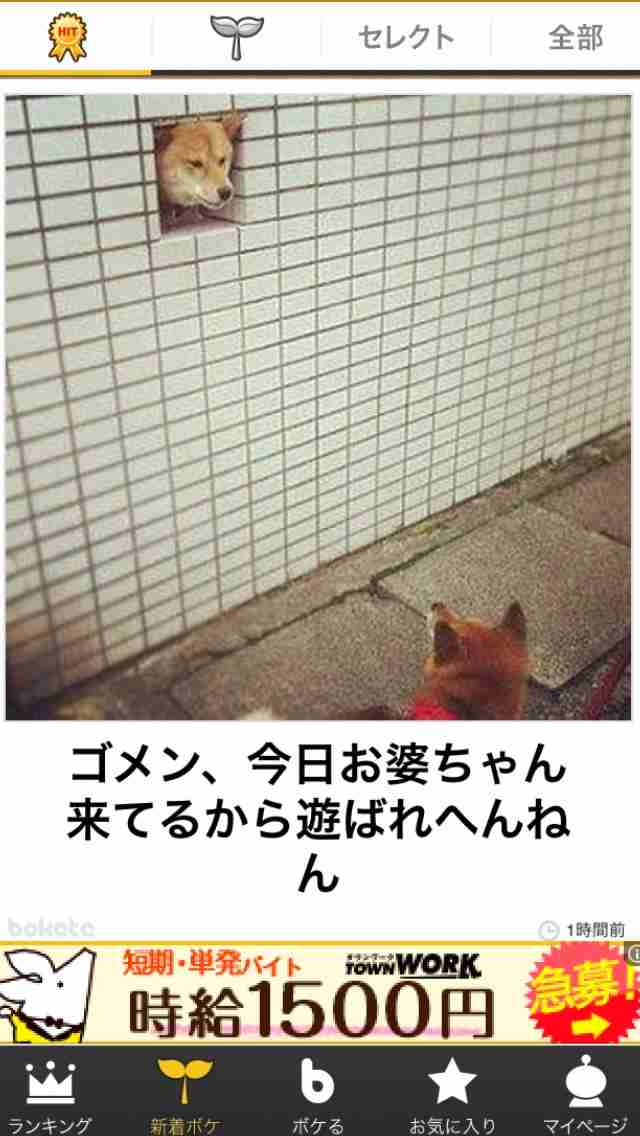 【今年に入ってから】なんとなく保存した画像。
