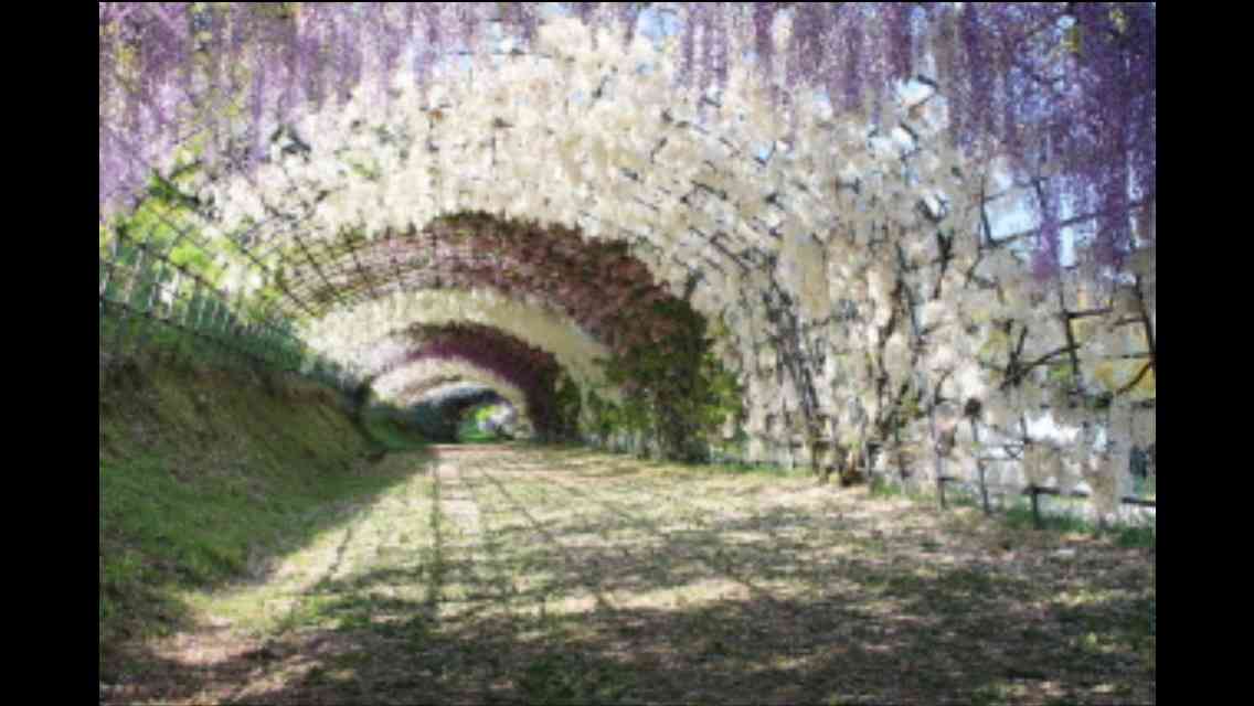 【今年に入ってから】なんとなく保存した画像。