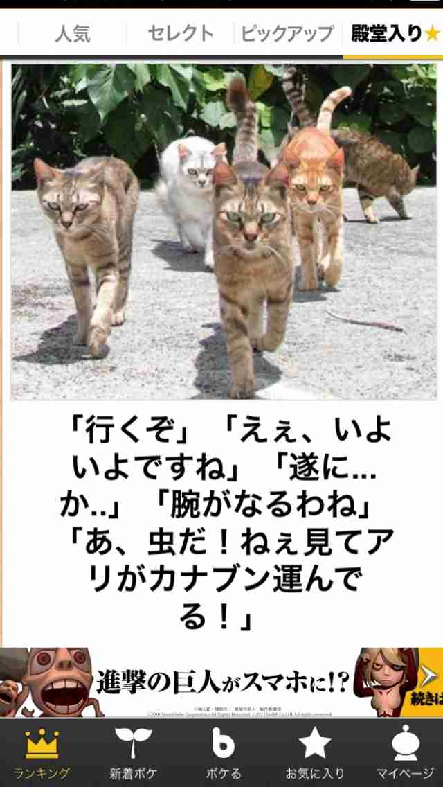 【今年に入ってから】なんとなく保存した画像。