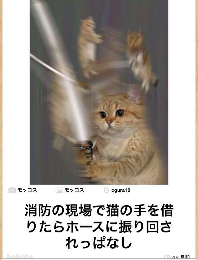 【今年に入ってから】なんとなく保存した画像。