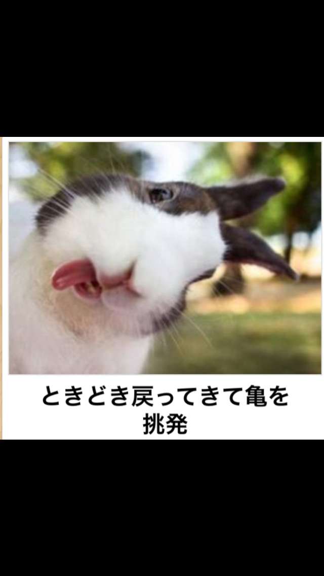 【今年に入ってから】なんとなく保存した画像。