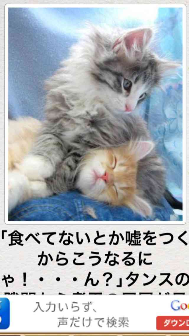 【今年に入ってから】なんとなく保存した画像。