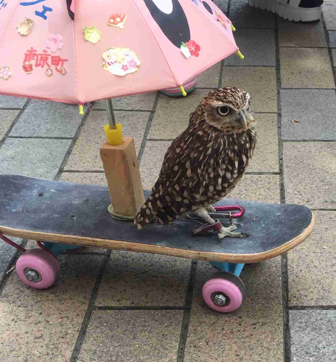 【今年に入ってから】なんとなく保存した画像。