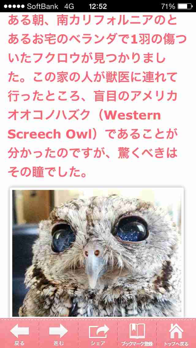 【今年に入ってから】なんとなく保存した画像。