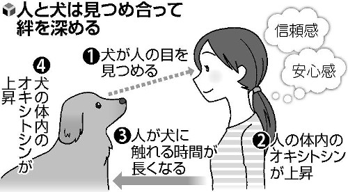 【今年に入ってから】なんとなく保存した画像。