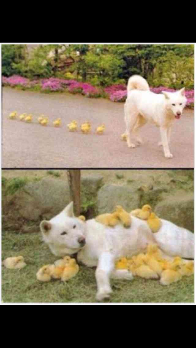 【今年に入ってから】なんとなく保存した画像。