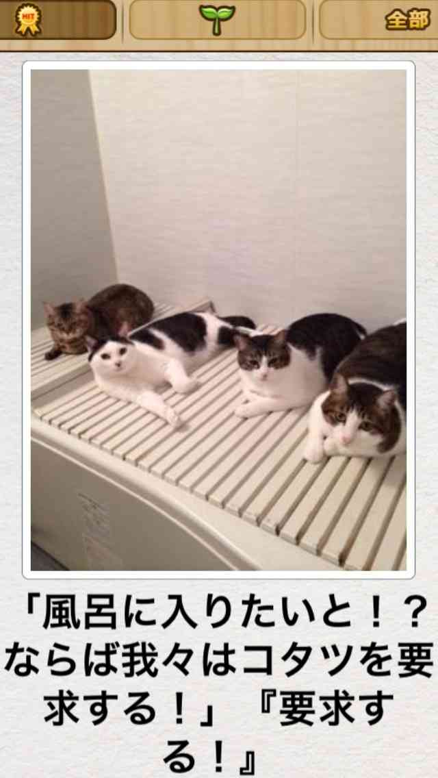 【今年に入ってから】なんとなく保存した画像。