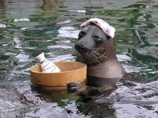 【今年に入ってから】なんとなく保存した画像。