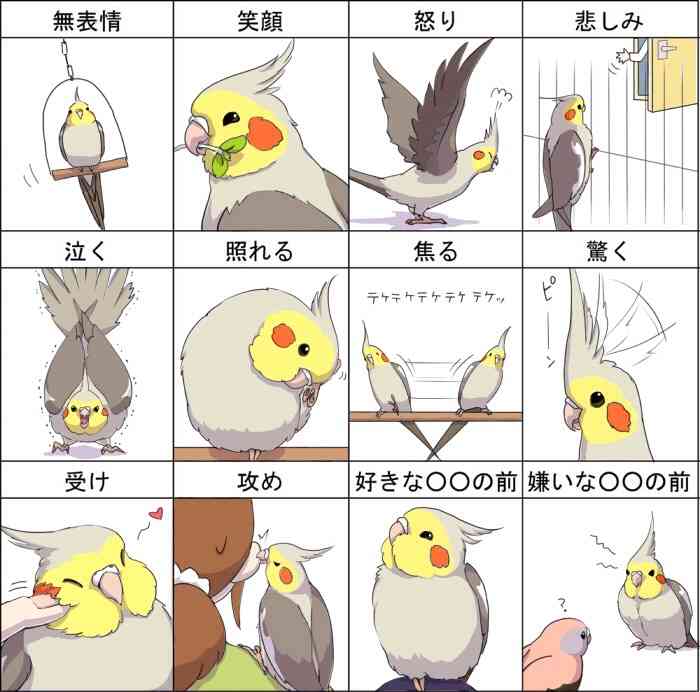 【今年に入ってから】なんとなく保存した画像。