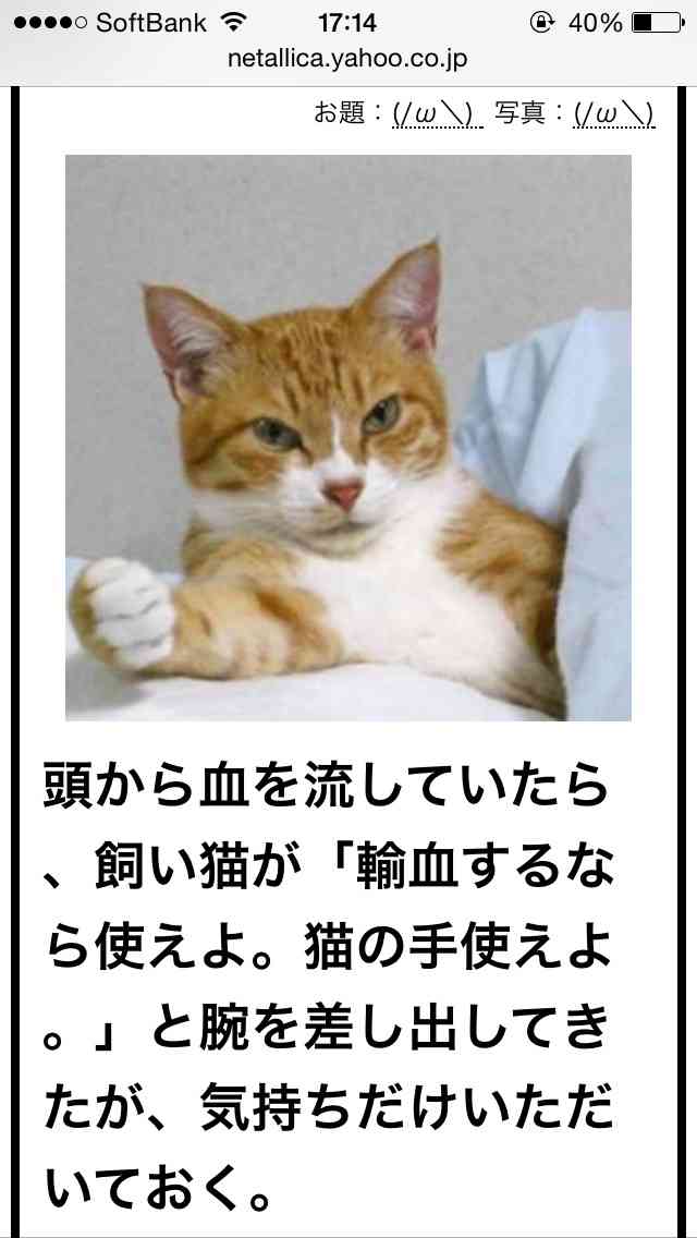 【今年に入ってから】なんとなく保存した画像。