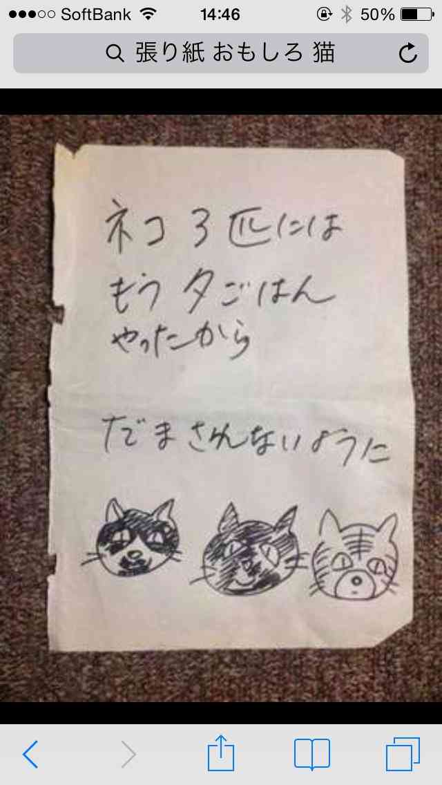 【今年に入ってから】なんとなく保存した画像。