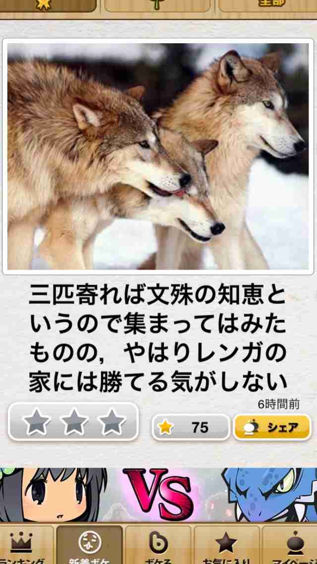 【今年に入ってから】なんとなく保存した画像。