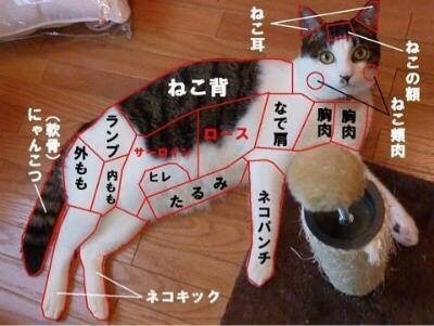 【今年に入ってから】なんとなく保存した画像。