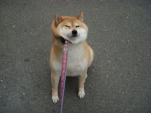 【今年に入ってから】なんとなく保存した画像。