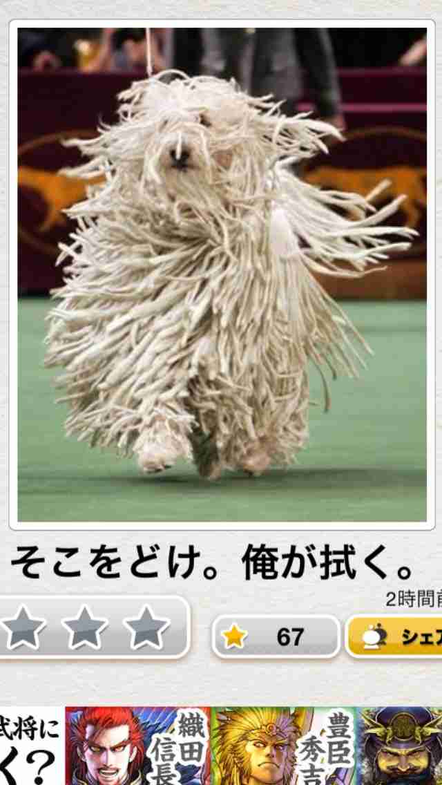 【今年に入ってから】なんとなく保存した画像。