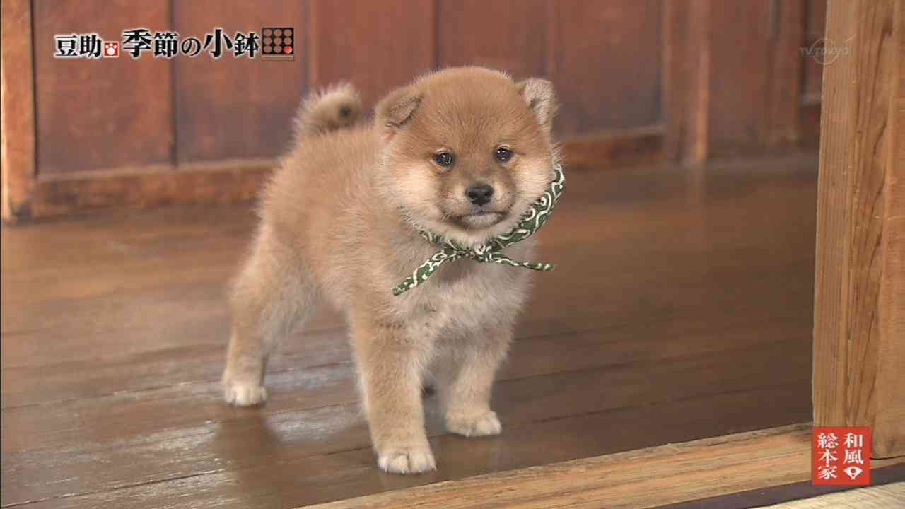 【今年に入ってから】なんとなく保存した画像。