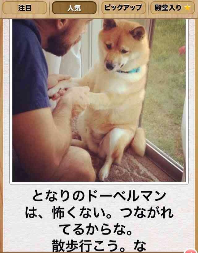 【今年に入ってから】なんとなく保存した画像。